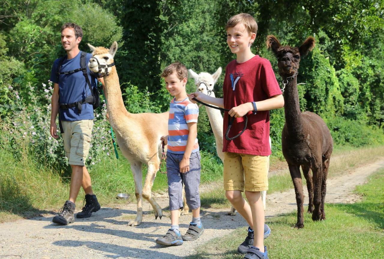 Jufa Hotel Poellau - Bio Landerlebnis Zewnętrze zdjęcie